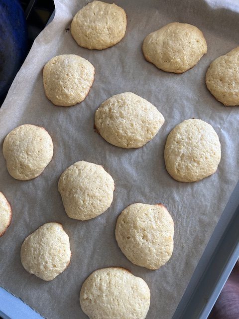 High Protein Cookie Recipe