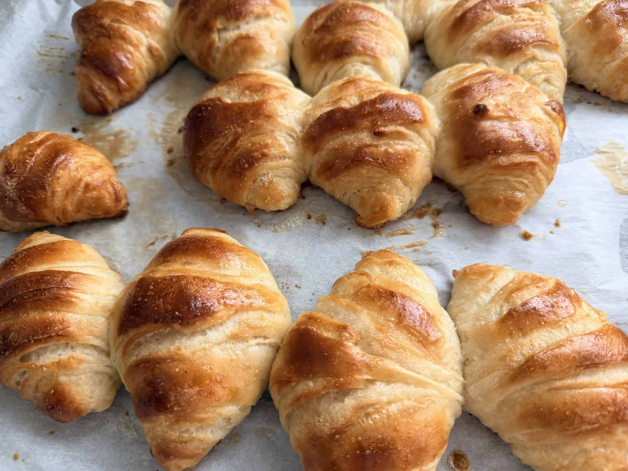 Easy Croissant Dough Recipe (No Lamination Required)